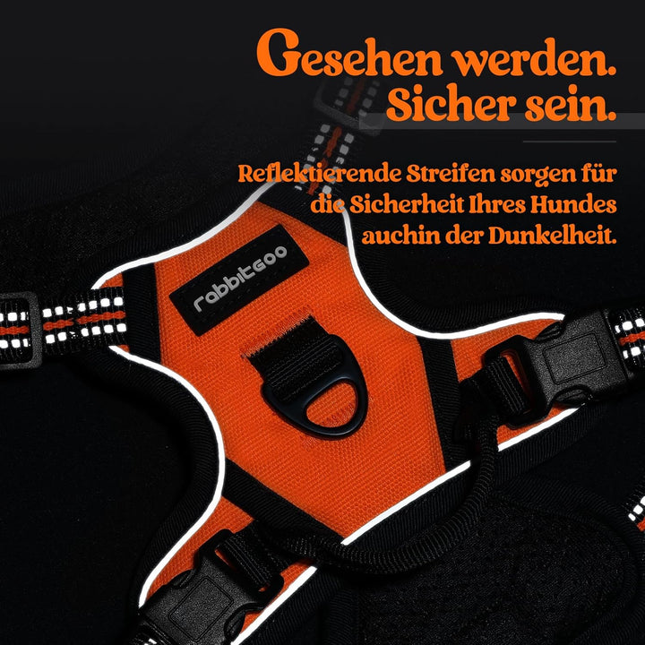 rabbitgoo Hundegeschirr Kleine Hunde, Anti Zug Geschirr mit Kontrolle, No Pull Verstellbar Hundegesc