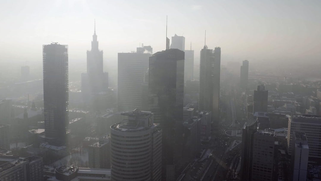 AEG AFDFRH6 Filter FRESH360 (Passend für AX91-604DG/AX91-604GY Luftreiniger, effizient gegen unangen