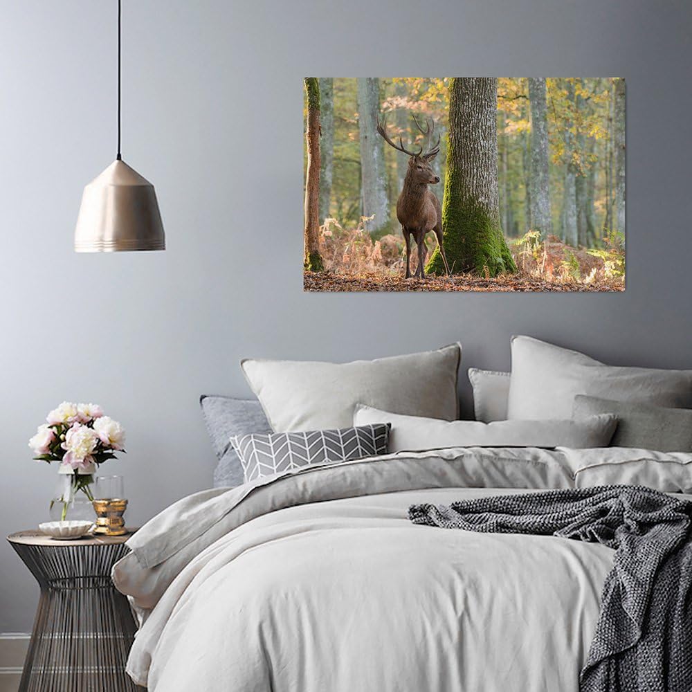 Feeby. Wandbilder - 1 Teilig- 78x118 cm - Bilder Kunstdrucke Deko Panel, HIRSCH, NATUR, BRAUN, 78x11