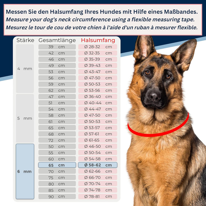 rostfreie Kombikette für Hunde - das ORIGINAL mit Zugstop - Edelstahl Hundekette Kettenhalsband lang