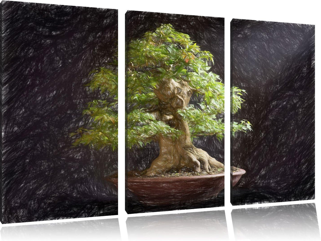 Pixxprint Kleiner Bonsaibaum Bunstift Effekt 3-Teiler Leinwandbild 120x80 Bild auf Leinwand