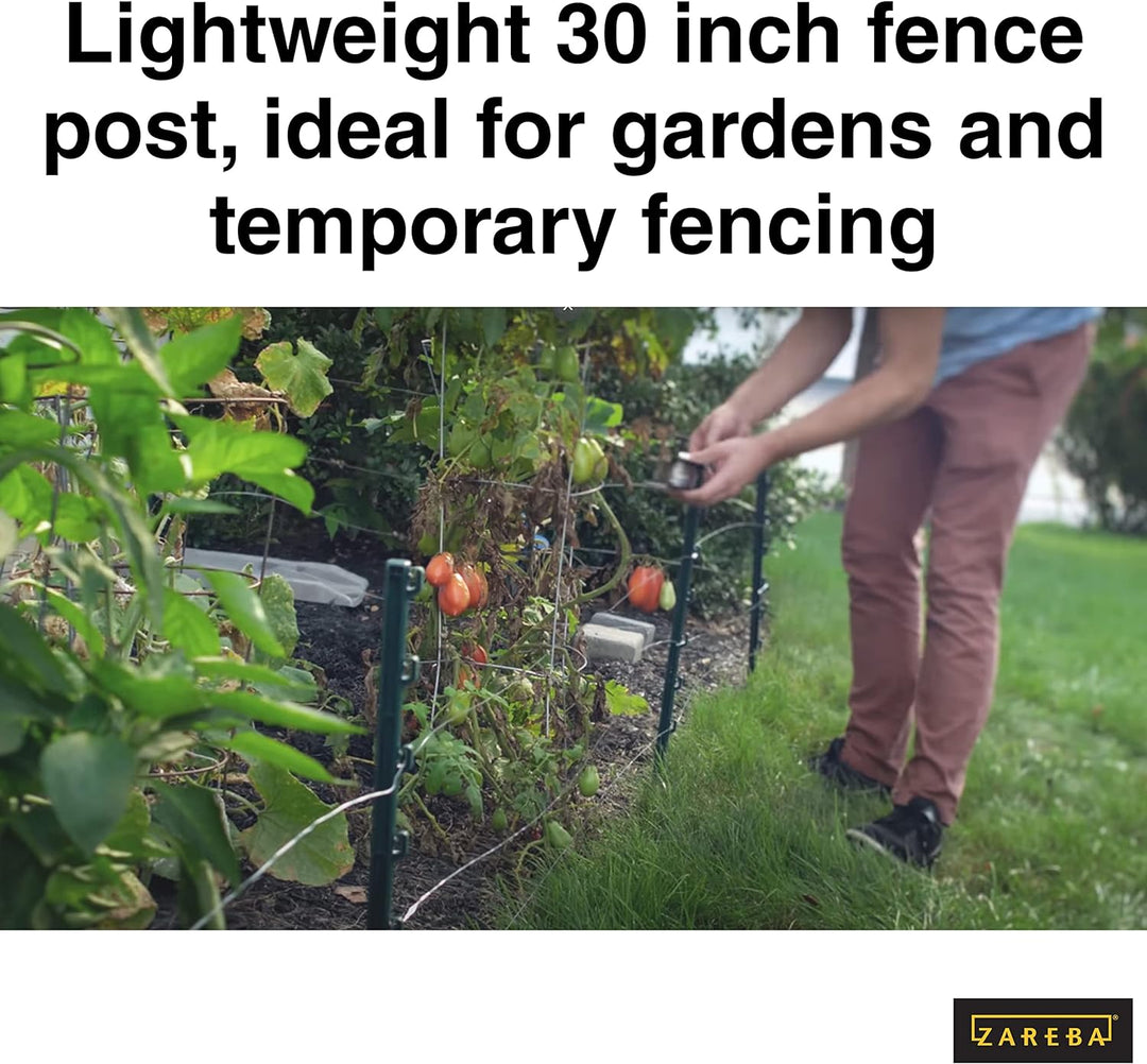 Fi-Shock P-30G Gartenzaunpfosten, 76,2 cm, ideal für Gärten und temporäre Zäune, 25 Stück Gartenpfos