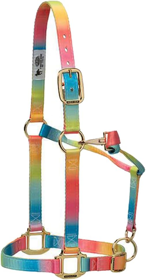 Weaver Leather Verstellbares Kinn- und Halfter aus Polyester in Regenbogenfarben. Small Horse regenb
