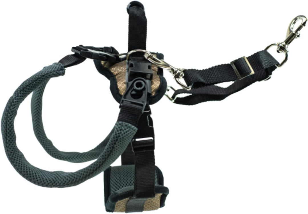 PetSafe CareLift Hüft-Hebegeschirr – Hebehilfe mit Griff und Schultergurt – Optimal zur Mobilisierun
