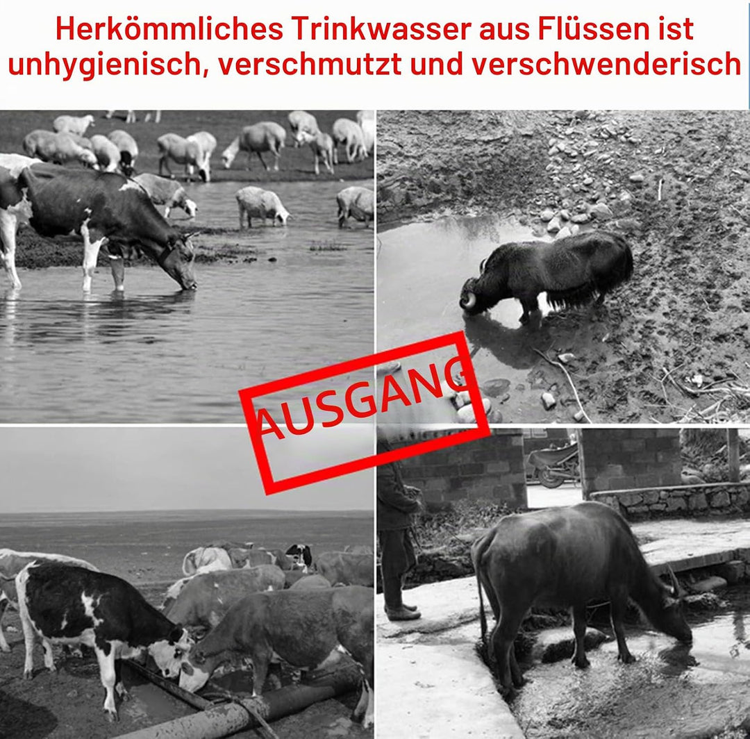 Pferdetränke Beheizbar Tränkebecken Pferd Beheizter Frostsicher Pferdetränke,mit Verstellbaren Schwi