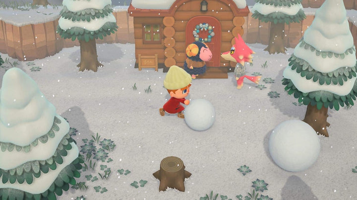 Nintendo Animal Crossing: New Horizons - [Nintendo Switch] Single, Single