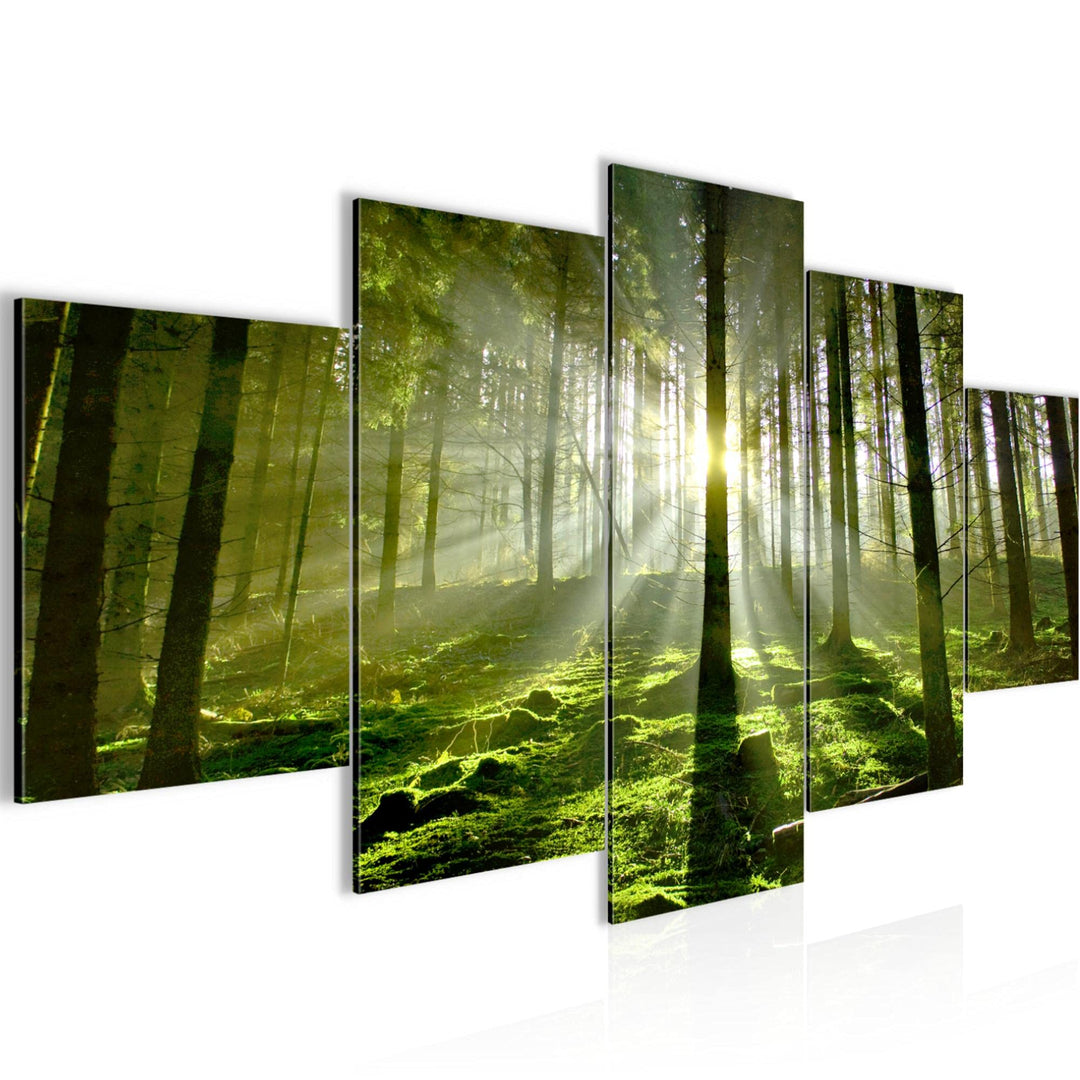 Runa Art Bild Schlafzimmer Wohnzimmer Wald Landschaft 5 Teilig Sonne Grün Wandbilder auf Vlies Leinw
