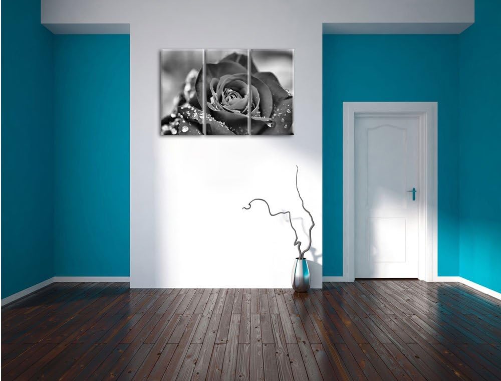 Pixxprint Rose mit Wassertropfen als Leinwandbild/Grösse: 3 Teilig (120x80) cm/Wandbild/Kunstdruck/f