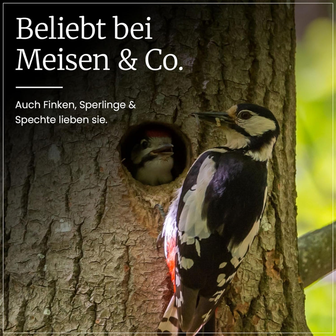 ERDTMANNS - 100 Meisenknödel für Wildvögel mit Netz im Eimer