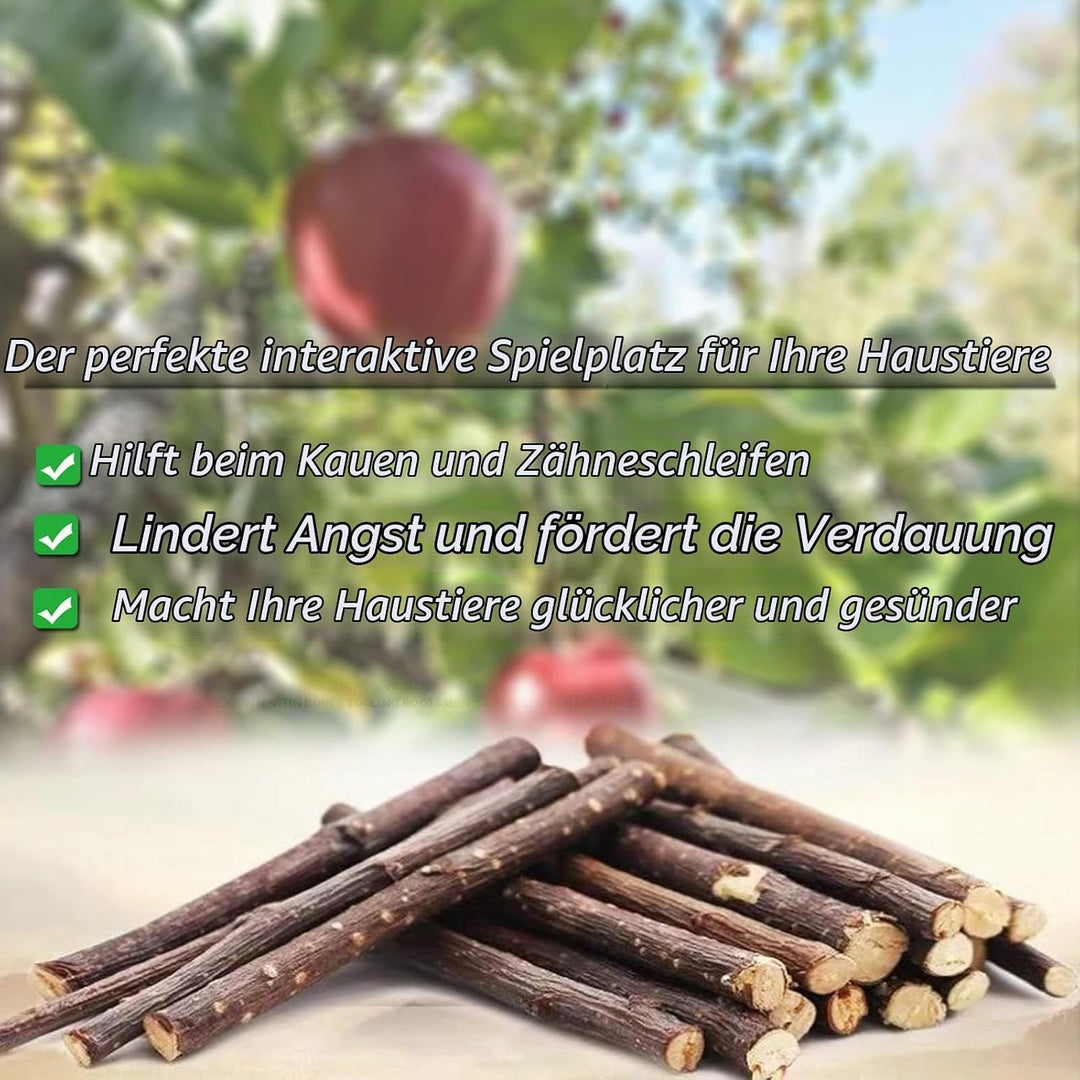 Hamster Spielzeug, Meerschweinchen Spielzeug, Kaninchen Zubehör, Kaninchen Spielzeug für Hamster Mee