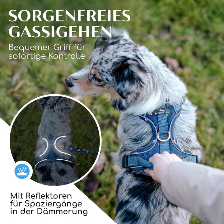 FREUDENTIER® atmungsaktives Hundegeschirr - komfortabel gepolstert - Let’s get Foxy Kollektion - 100
