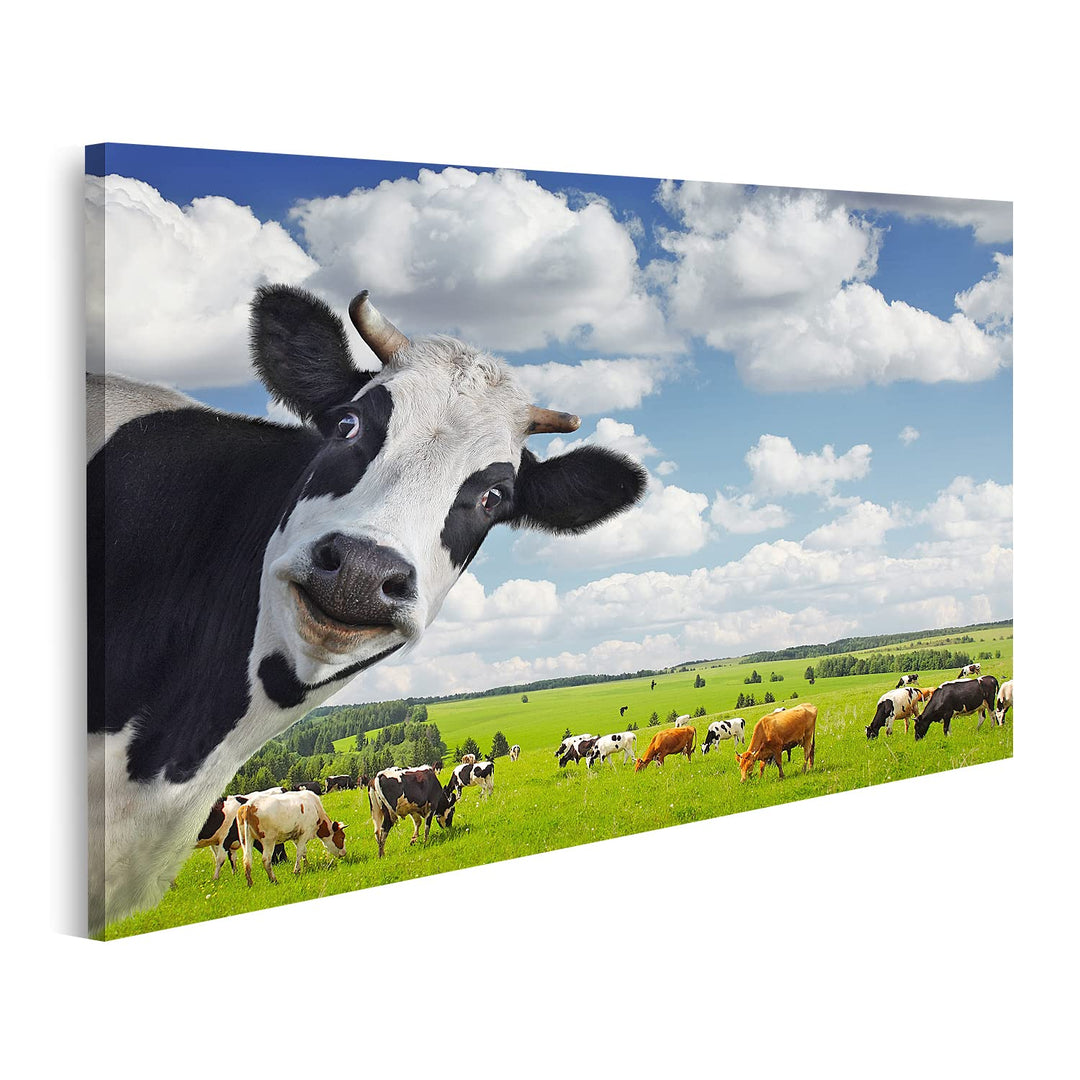 islandburner Bild auf Leinwand Lustige Kuh Auf Ländlicher Wiese Bilder Wandbilder Poster Leinwand 80