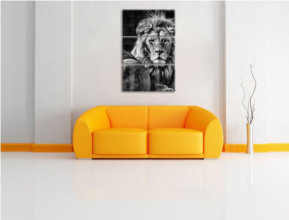 Pixxprint schönes Löwenpaar als Leinwandbild/Grösse: 3 Teilig (120x80) cm/Wandbild/Kunstdruck/fertig