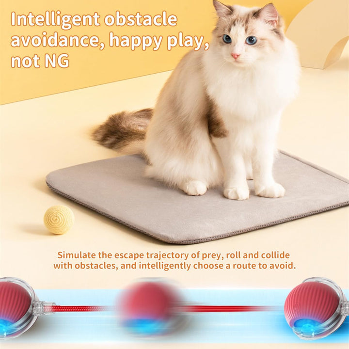 Interaktive Haustierspielkugeln Set mit Matten-Mäusefangspiel für Katzen und Hunde 2 Spielkugeln Hin
