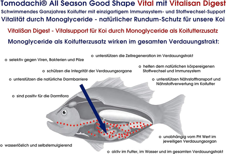 Tomodachi Koifutter, Schwimmfutter, Vitalfutter für Koi mit Monoglyceriden für Koigesundheit, Immuns