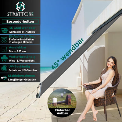 Strattore Ausziehbare Senkrechtmarkise Vertikalmarkise 120 x 250 cm - Markise mit Kurbel für Terrass
