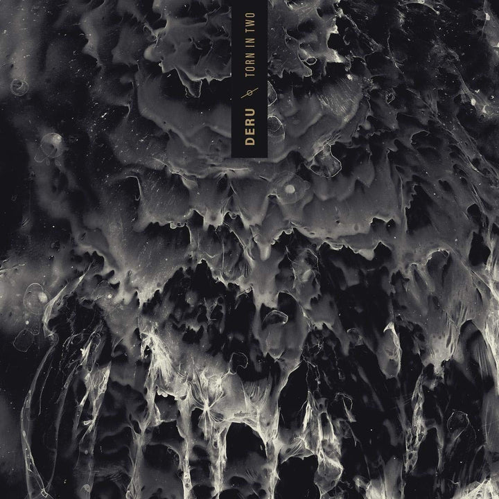 Torn in Two, Vinyl