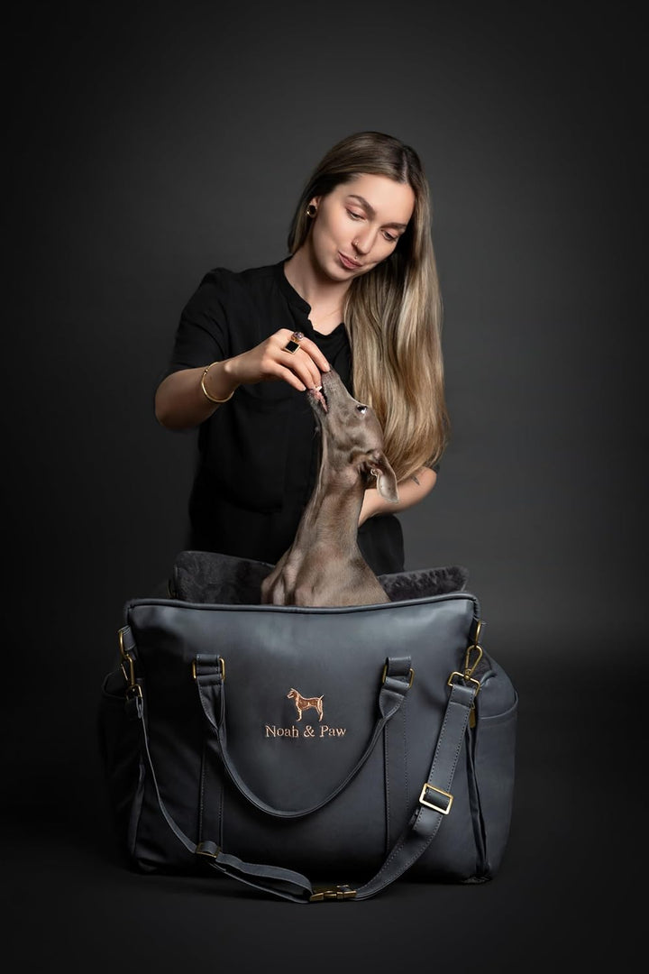 Noah & Paw Hunde-Autositz-Tragetasche, kleiner Hunde-Autositz für kleine, mittelgrosse Haustiere mit