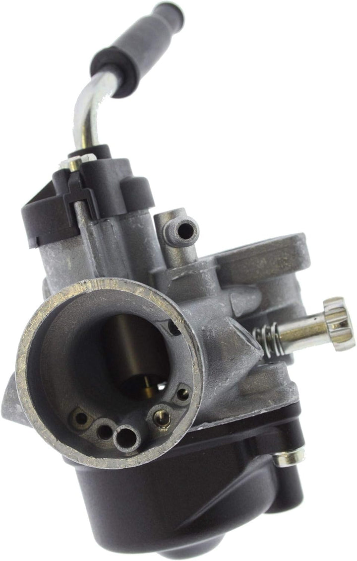 Vergaser Dellorto 17,5mm / PHVA 17,5 ED