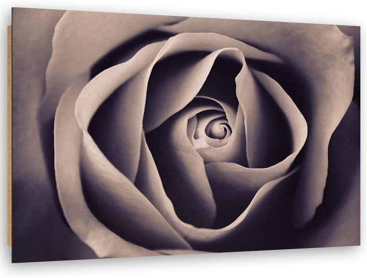 Feeby Wanddeko Rose Bild Kunstdruck modern Blume Grau 80x60 cm M14549 80x60 cm, M14549 80x60 cm