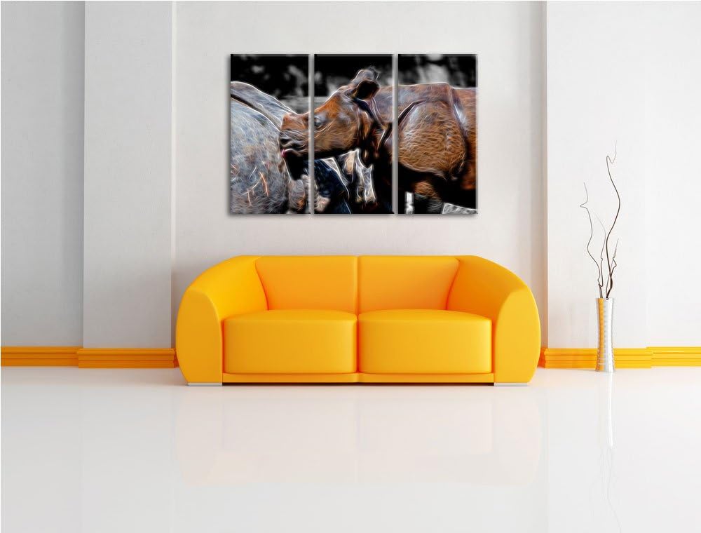 junges Nashorn schwarz/weiss Deluxe 3-Teiler Leinwandbild 120x80 Bild auf Leinwand, XXL riesige Bild