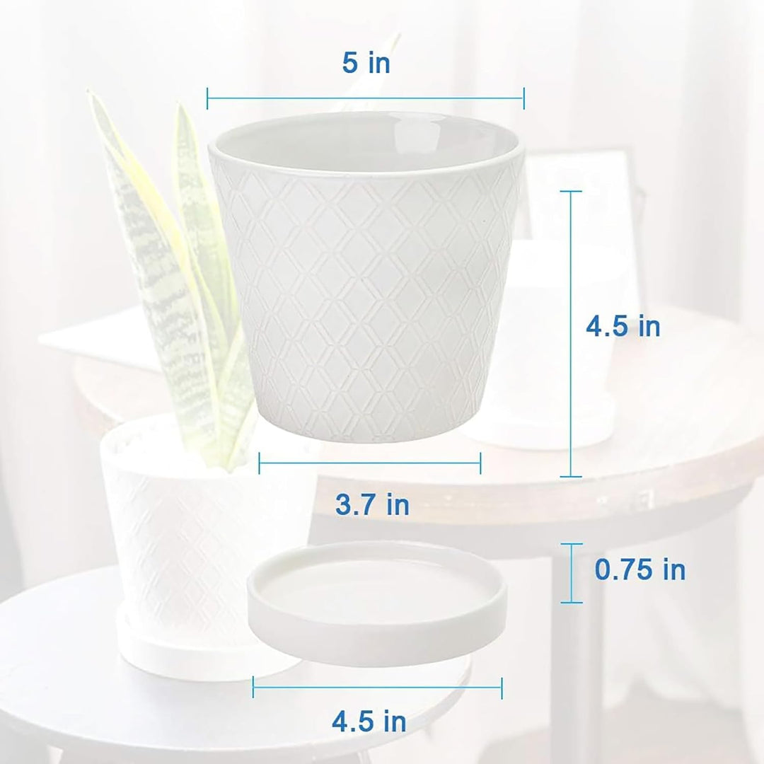 Buymax Blumentöpfe für den Innenbereich, 12.7 cm, Keramik-Blumentopf mit Ablaufloch und Keramik-Tabl