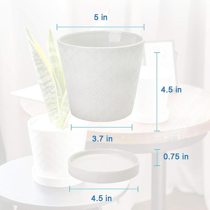 Buymax Blumentöpfe für den Innenbereich, 12.7 cm, Keramik-Blumentopf mit Ablaufloch und Keramik-Tabl