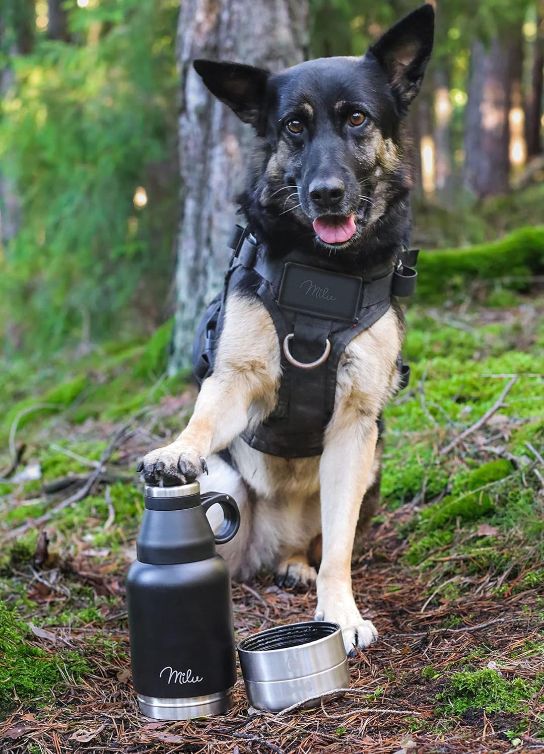 Milu Trinkflasche Hunde für Unterwegs 950ml - Wasserflasche mit Futternapf, Isolierte Edelstahl Hund
