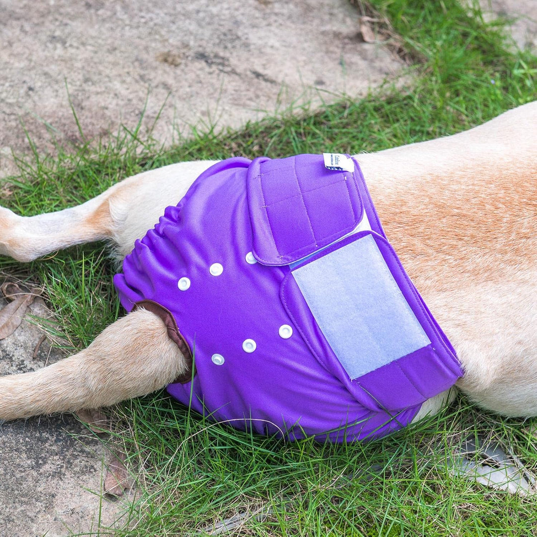 CuteBone Waschbare Hundewindeln, 3 Stück Hochsaugfähige Wiederverwendbare Hundewindeln, Hochsaugfähi