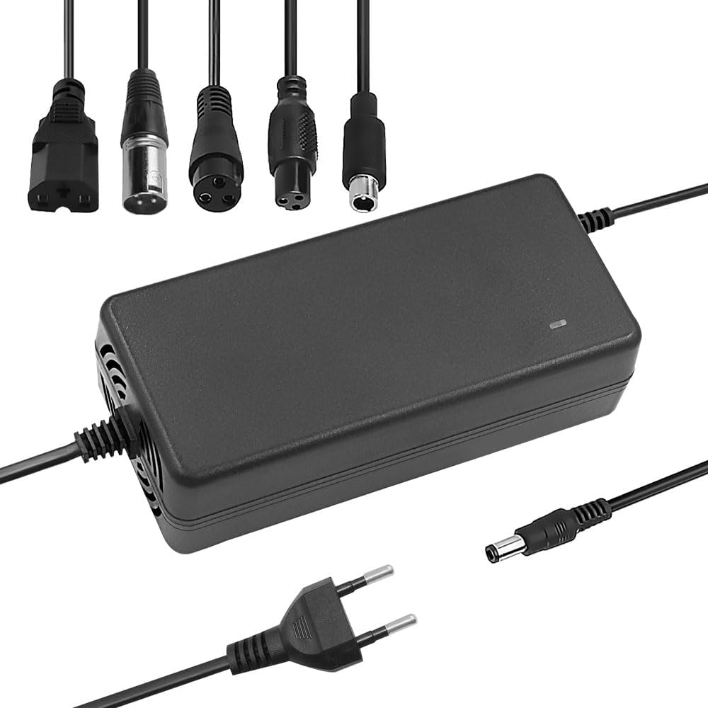 ZOYDP 54.6V 2A Li-ion Ladegerät für 48V 13S Lithium Batterie, E Scooter Ladekabel, e Scooter Ladeger