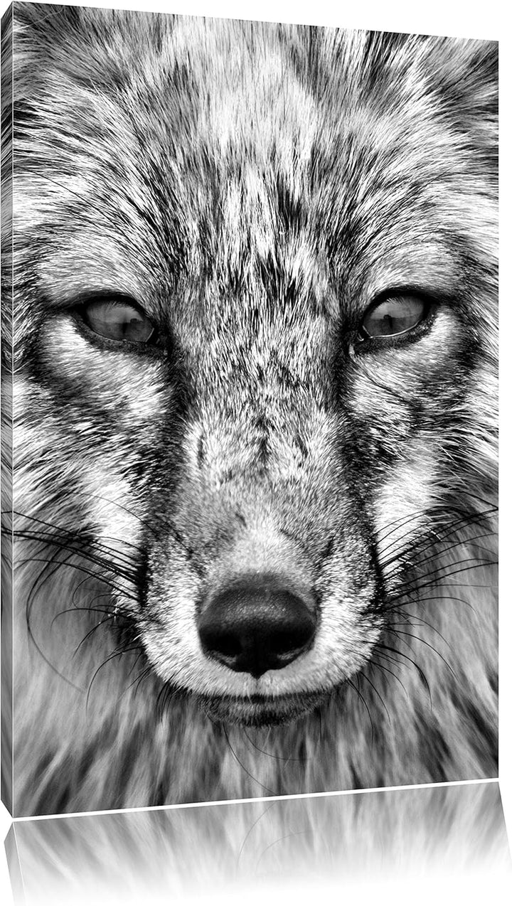 Monocrome, Fuchs Porträt , Format: 100x70 auf Leinwand, XXL riesige Bilder fertig gerahmt mit Keilra