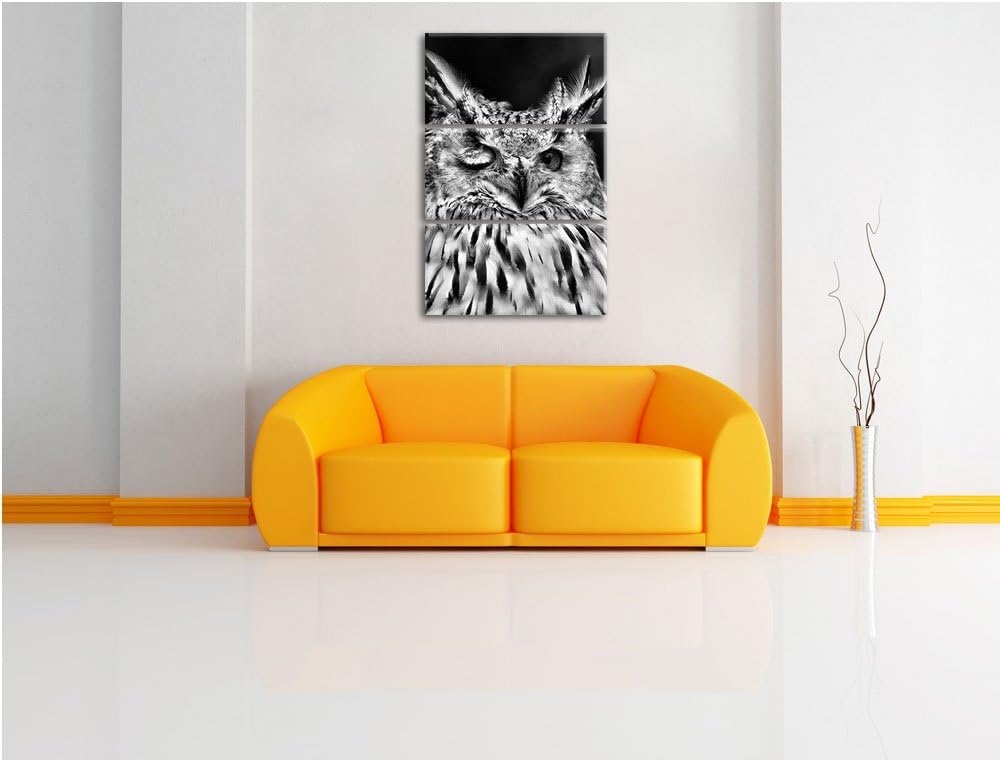 Pixxprint Monocrome, Waldohreule zwinkert 3-Teiler Leinwandbild 120x80 Bild auf Leinwand