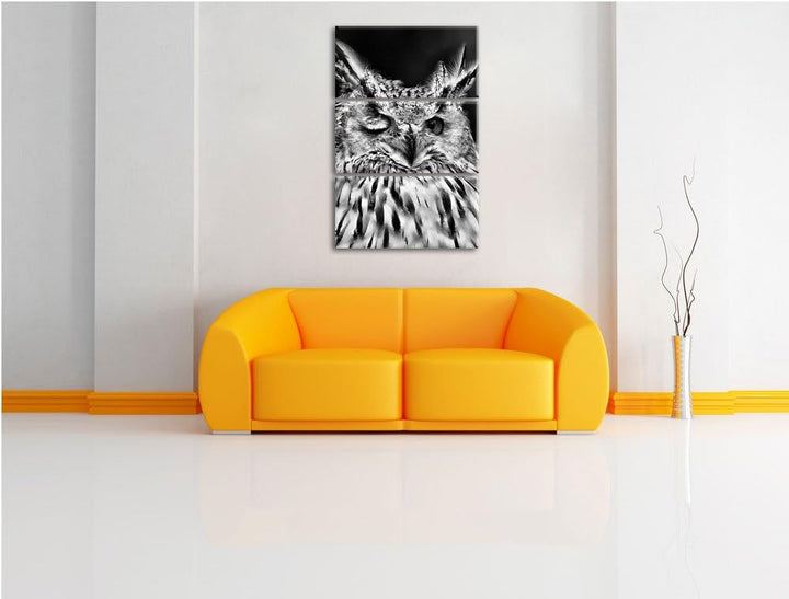 Pixxprint Monocrome, Waldohreule zwinkert 3-Teiler Leinwandbild 120x80 Bild auf Leinwand