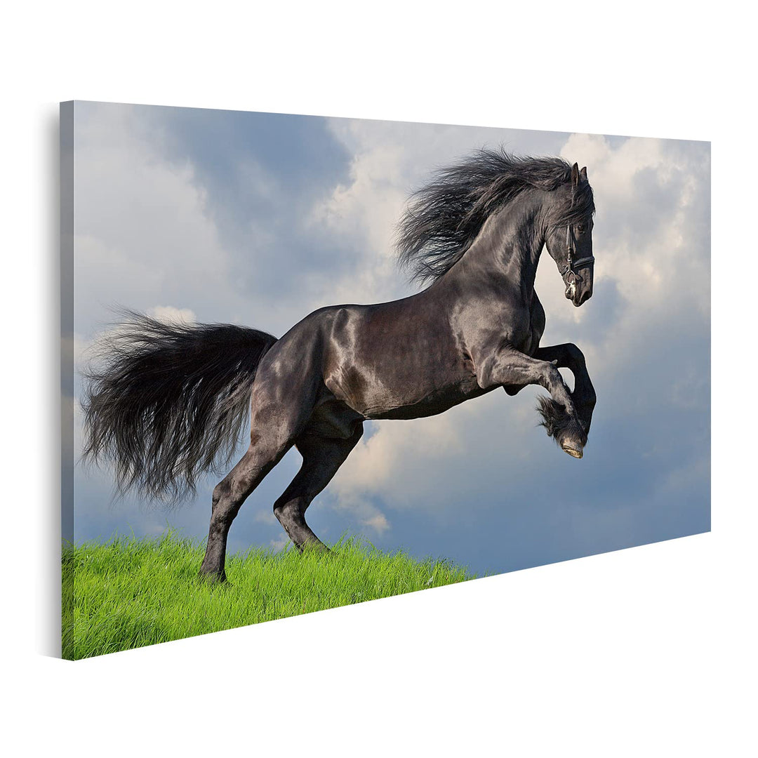 islandburner Bild auf Leinwand Friesisches Pferd Galoppiert Bilder Wandbilder Poster Leinwand 80x40c