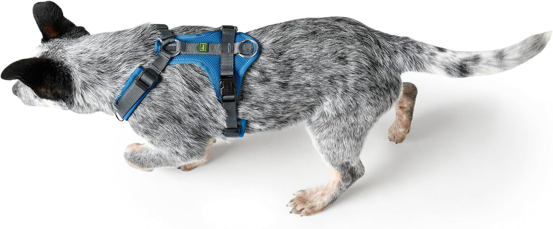 Hunter Hundegeschirr Maldon UP, Farbe: blau/grau, weich gepolstert & komfortabel, stark reflektieren