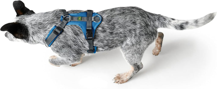 Hunter Hundegeschirr Maldon UP, Farbe: blau/grau, weich gepolstert &amp; komfortabel, stark reflektieren