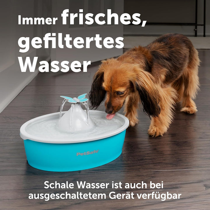 PetSafe Drinkwell Butterfly Trinkbrunnen für Katzen und kleine Hunde, BPA-freier Kunststoff, 1,5 Lit