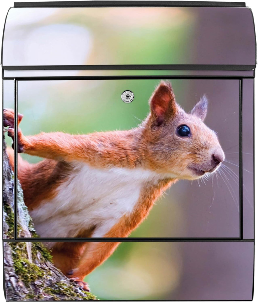 banjado® Design Briefkasten mit Motiv Eichhörnchen 39x47x14cm &amp; 2 Schlüssel - Briefkasten Stahl schw