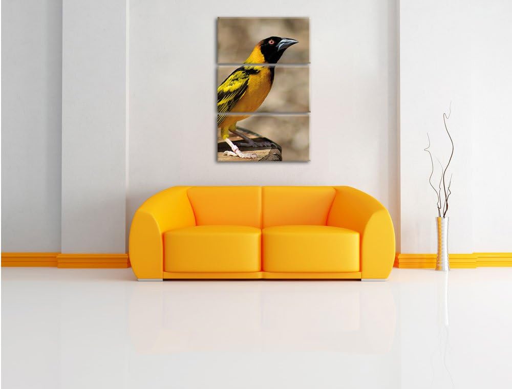 Pixxprint prächtiger gelber Star als Leinwandbild/Grösse: 3 Teilig (120x80) cm/Wandbild/Kunstdruck/f