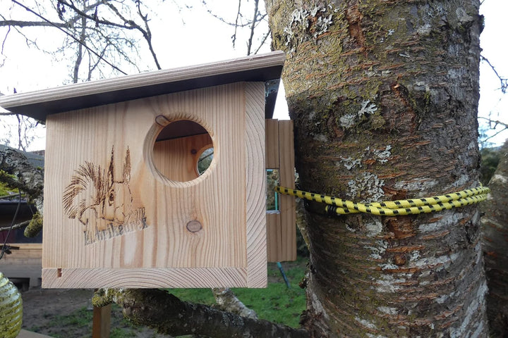 Eichhörnchen Futterhaus aus hochwertigem Lärchenholz, deutsches Qualitätsprodukt, von Hand gefertigt