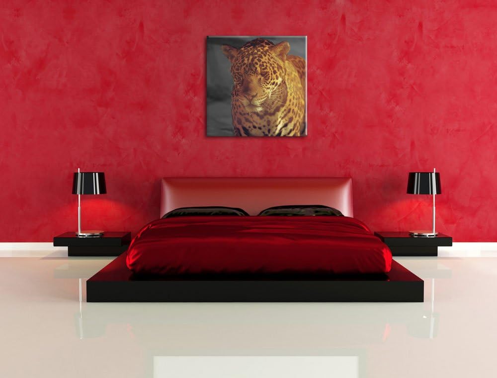 Pixxprint Einsamer Leopard in der Wüste als Leinwandbild/Grösse: 70x70 cm/Wandbild/Kunstdruck/fertig