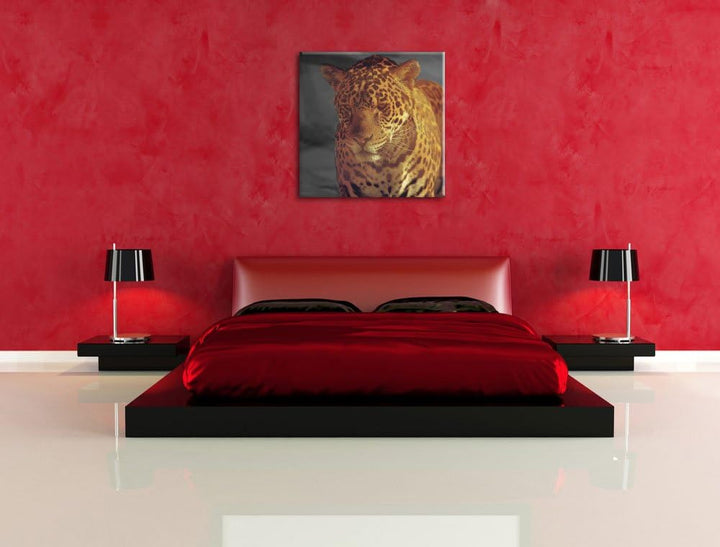 Pixxprint Einsamer Leopard in der Wüste als Leinwandbild/Grösse: 70x70 cm/Wandbild/Kunstdruck/fertig