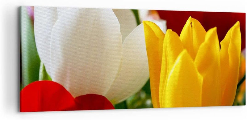 Wandbilder Dekoration Wohnzimmer Tulpen Vase Blumenstrauss Panorama Bilder auf Leinwand 120x50cm Lei