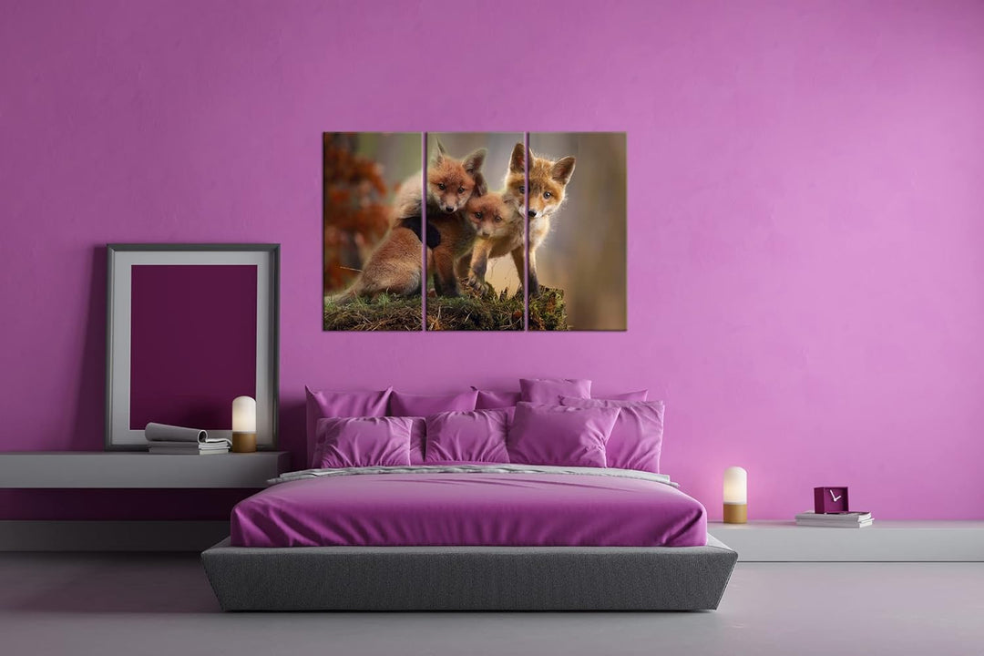 deyoli Kleine Familie von Rotfüchsen Format: 3-teilig 120x80 als Leinwand, Motiv fertig gerahmt auf