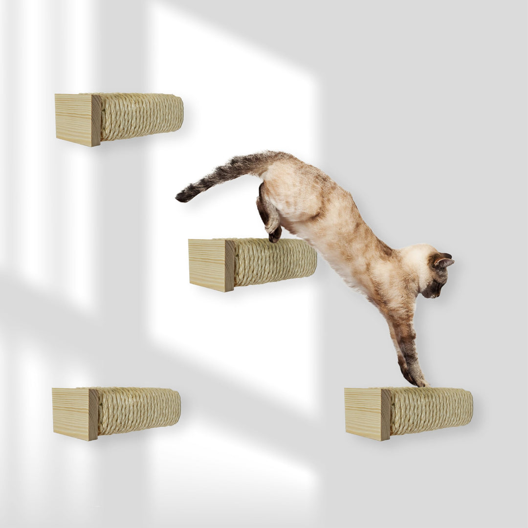 Rohrschneider Katzentreppe für Katzenwand | Kletterwand Katzen Holz Natur | Wandelemente | Kratzstam
