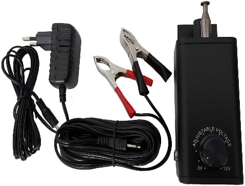 walexo Spiessdreher aus Edelstahl mit regelbarem 3 bis 12 Volt Motor 10 Watt inklusive 15 Grillspies