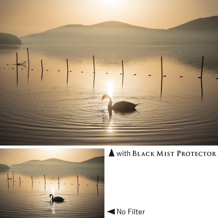 Kenko Objektivschutz &amp; Softeffekt-Filter Black Mist Protector φ67mm, Mehrfach vergütet, 0,25 Soft-Ef