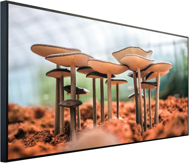 Ecowelle Infrarotheizung mit Bild | 750 Watt | 60x120 cm | Infrarot Heizung| | Made in Germany| a 87