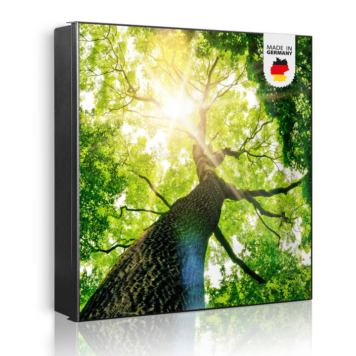banjado Grosser Schlüsselkasten Metall - Schlüsselbox 30x30cm mit 32 Haken - Schlüsselkasten modern