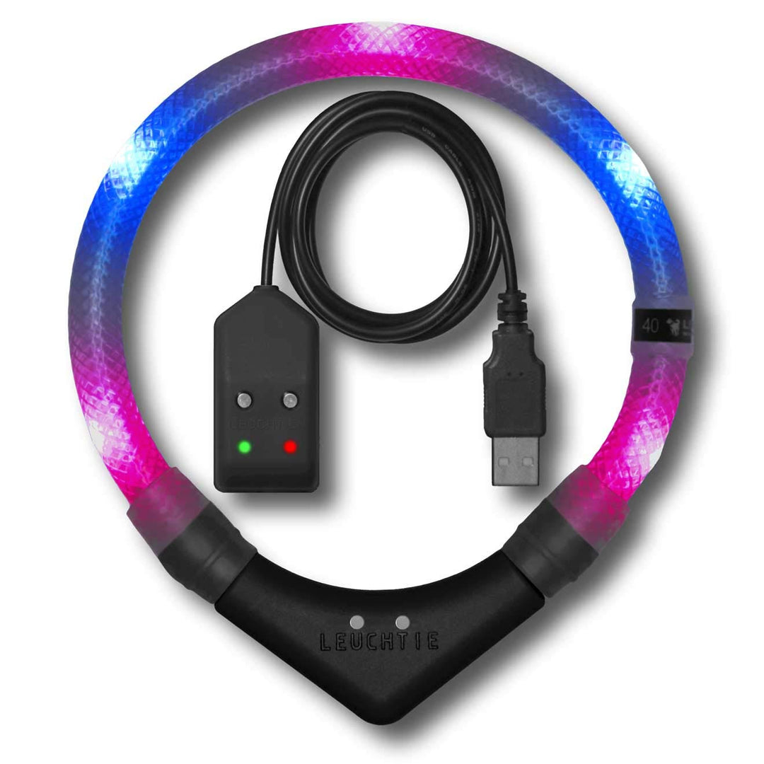 LEUCHTIE® Leuchthalsband Easy Charge pink-blau Grösse 37,5 I LED Halsband für Hunde I USB aufladbar